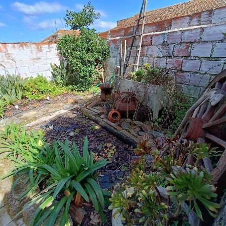 Vila Casa Da Avo Do Puto Mealhada Exteriér fotografie