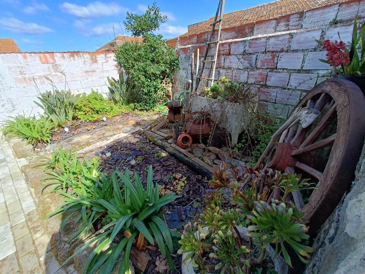 Vila Casa Da Avo Do Puto Mealhada Exteriér fotografie