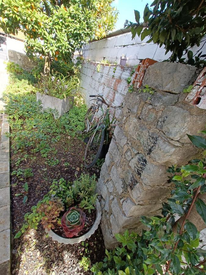 Vila Casa Da Avo Do Puto Mealhada Exteriér fotografie