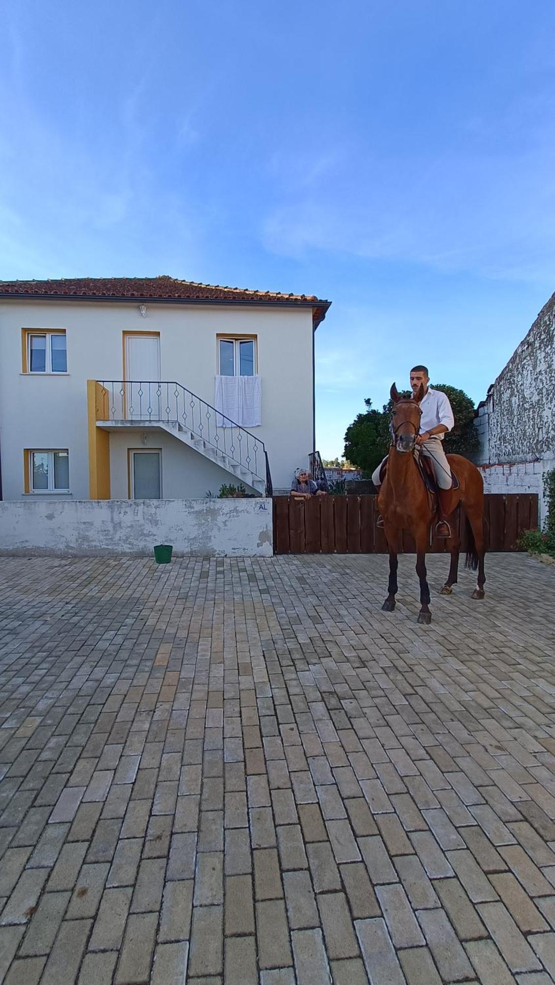 Vila Casa Da Avo Do Puto Mealhada Exteriér fotografie